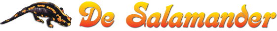 Salamander Logo