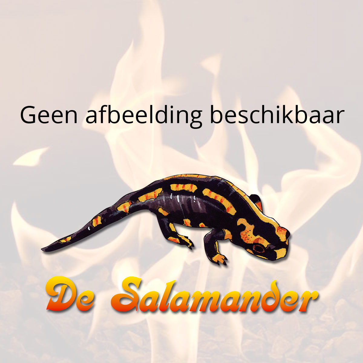 Nog geen product afbeelding beschikbaar
